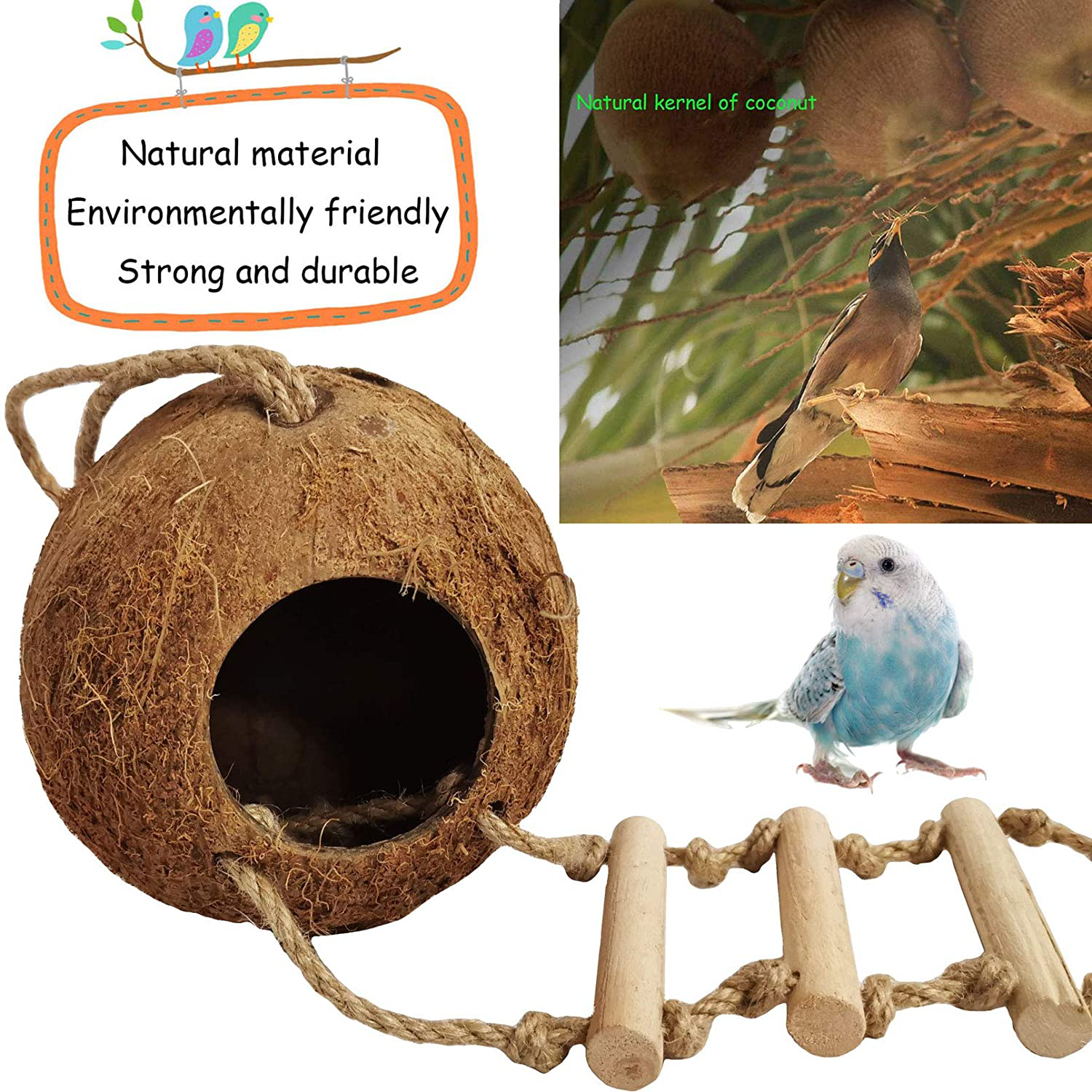 Kathson Bird Hides Coconut Nest with Ladder Perches Hanging Parrot House Cage Natural Coconut Fiber Parakeet Chewing Toys Intelligence Training Rings for Small Budgies Cockatiels 5PCS Animals & Pet Supplies > Pet Supplies > Bird Supplies > Bird Ladders & Perches kathson   