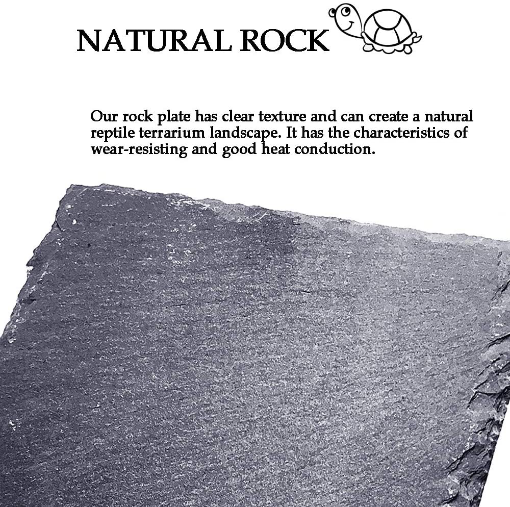 Reptile Basking Platform Tortoise Rock Plate Turtle Bathing Area Feeding Food Dish Resting Terrace Animals & Pet Supplies > Pet Supplies > Reptile & Amphibian Supplies > Reptile & Amphibian Habitat Accessories kathson   