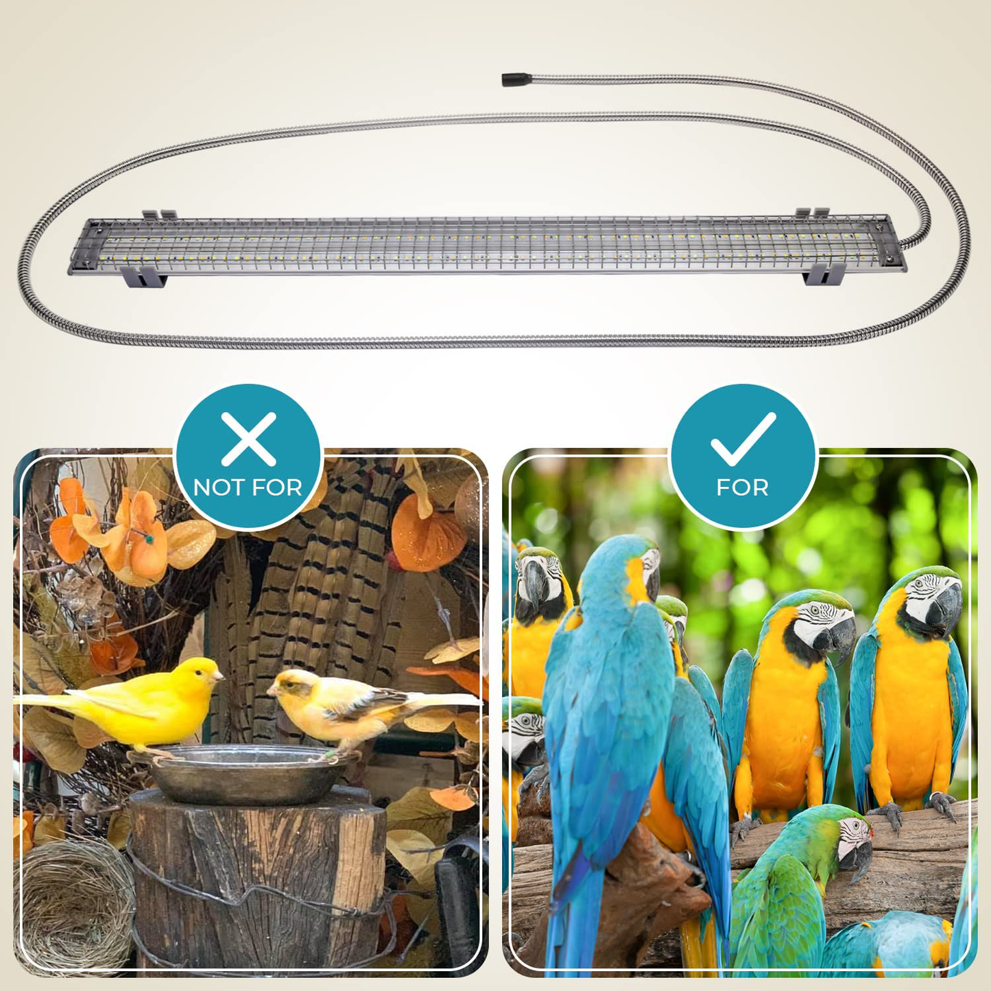 M&M Cage Company - Bird Cage Light with Chew Guard for Hook Bill Birds & Soft Bill Birds - Full Spectrum LED Pet Light - Simulates Natural Environment Animals & Pet Supplies > Pet Supplies > Bird Supplies > Bird Cages & Stands M&M Cage Company   