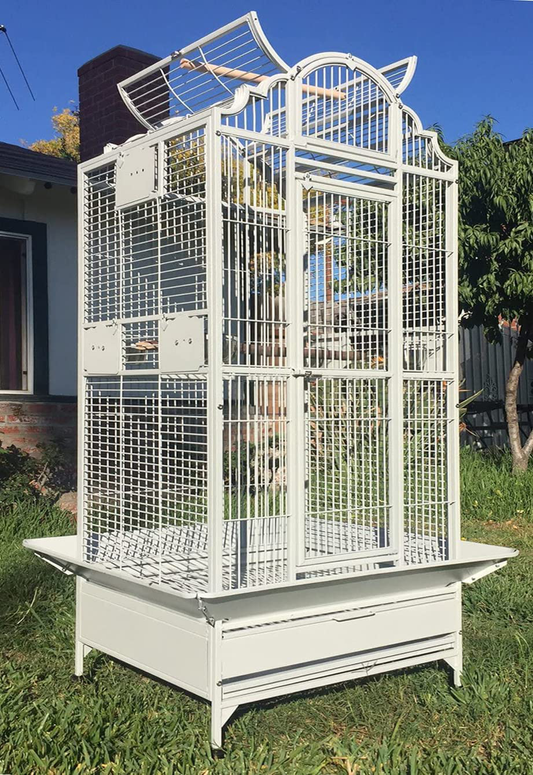 Large Elegant and Durable Wrought Iron Open/Close Play Top Bird Parrot Cage, Include Metal Seed Guard Solid Metal Feeder Nest Doors