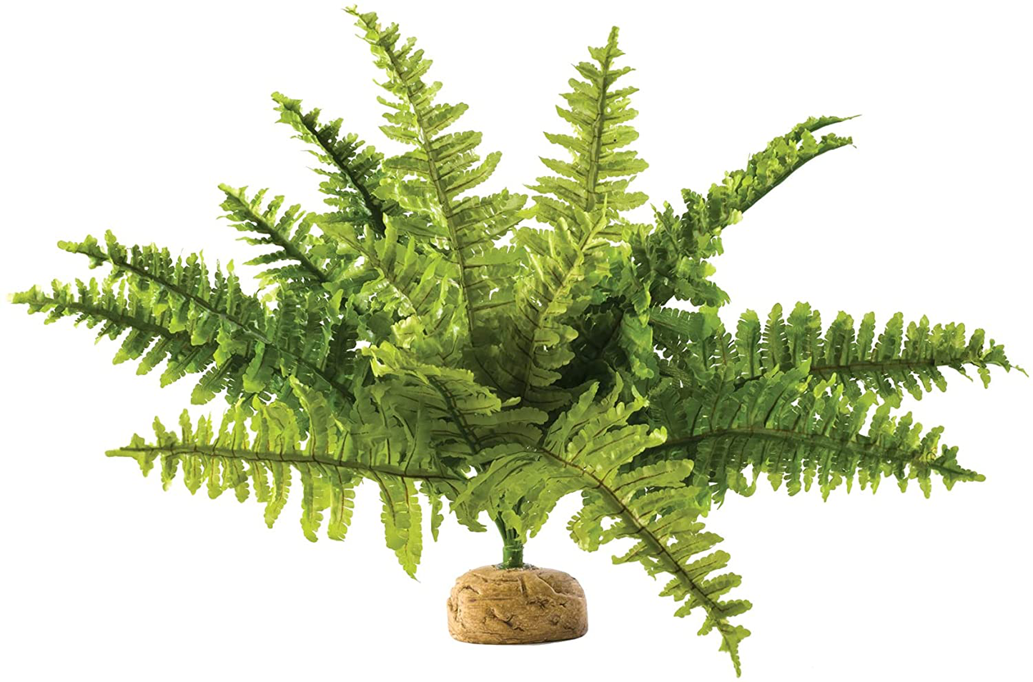 Exo Terra Rainforest Ground Plant, Reptile Terrarium Decoration Animals & Pet Supplies > Pet Supplies > Reptile & Amphibian Supplies > Reptile & Amphibian Habitat Accessories Exo Terra Boston Fern Medium 