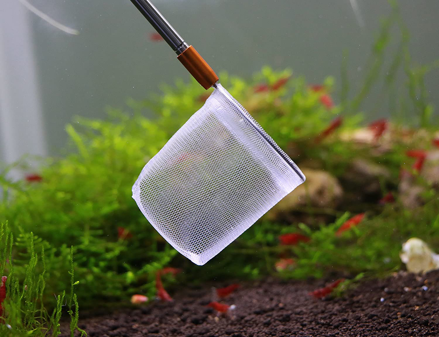 Extendable 3D Aquarium Net for Shrimp, Small Fish, Tetra, Betta, Aquarium Fish Tank Animals & Pet Supplies > Pet Supplies > Fish Supplies > Aquarium Fish Nets SoShrimp   