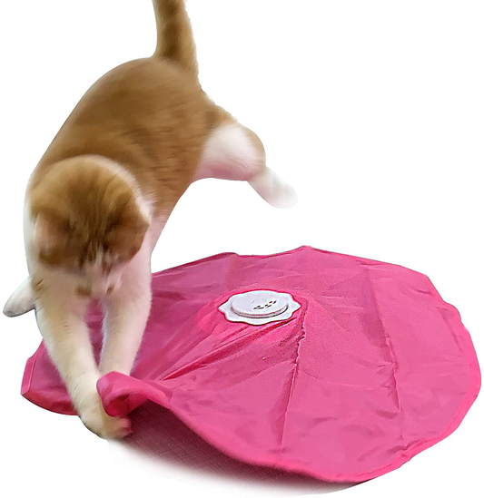 Blackhole Catch the Tail Cat Toy- Rotating, Electronic, Motion, Automatic, Best Undercover Mouse under Blanket Cat Toy Animals & Pet Supplies > Pet Supplies > Cat Supplies > Cat Toys BlackHole Litter Mat Catch the Tail  