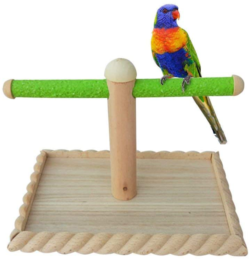 Litewood Parrot Standing Perches Training Bird Play Stand Birdcage Play Gym for Electus Cockatoo Parakeet Conure Cage Accessories Exercise Toy