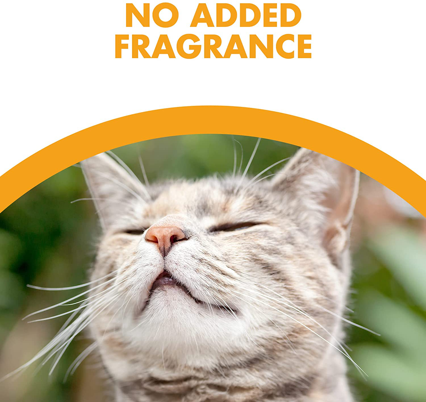 Feline Pine Cat Litter Animals & Pet Supplies > Pet Supplies > Cat Supplies > Cat Litter Feline Pine   