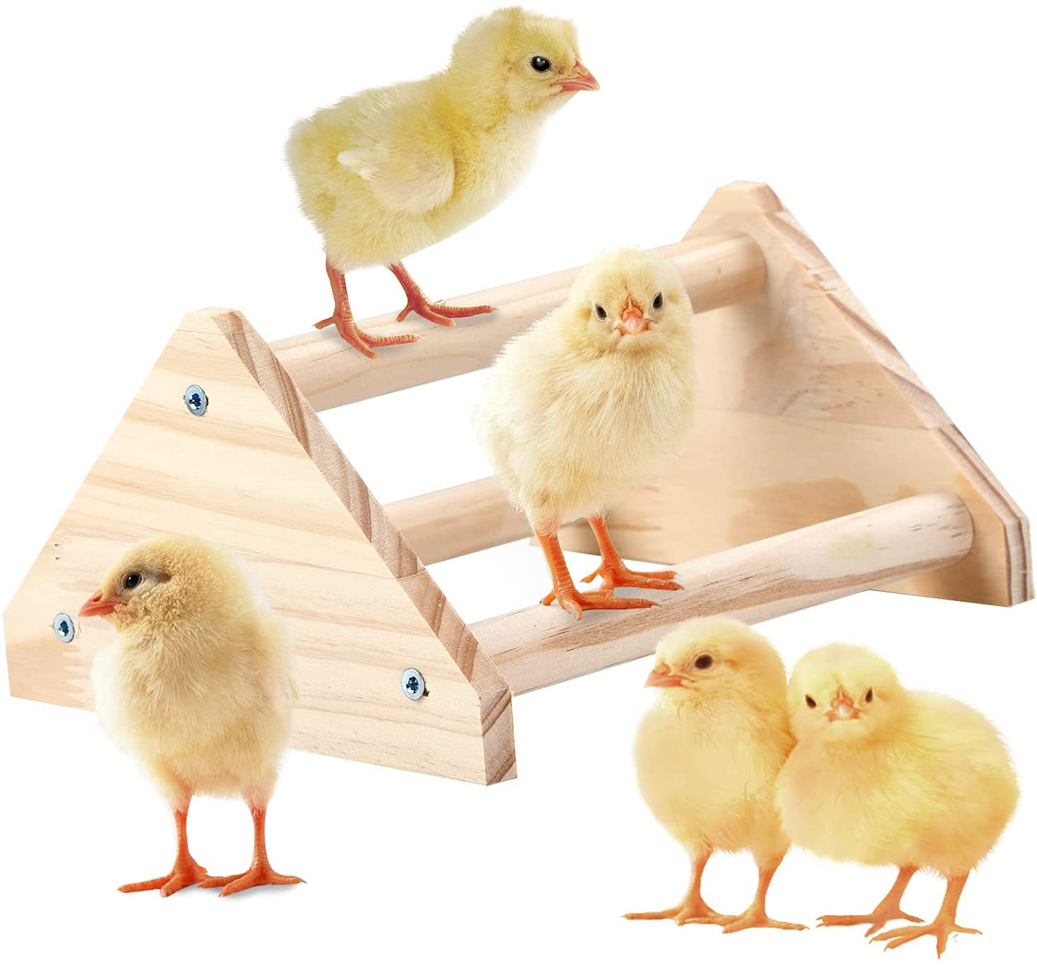 GINTUTO Chicken Perch Strong Pine Wooden Chick Jungle Gym Roosting Bar, Chick Perch Toys for Coop and Brooder for Large Bird Baby Chicks Parrot (Small) Animals & Pet Supplies > Pet Supplies > Bird Supplies > Bird Gyms & Playstands GINTUTO   