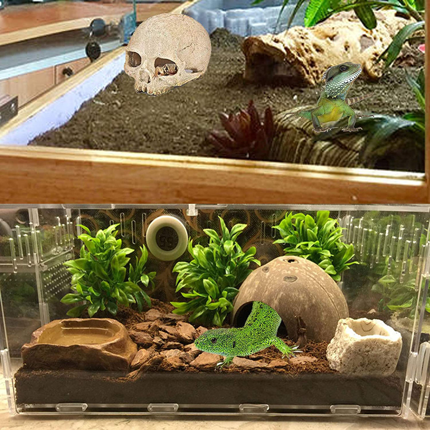 PINVNBY Bearded Dragon Tank Accessories,Reptiles Resin Human Skull Habitat Decor,Lizard Hammock Coconut Shell Hut Hideouts Cave Jungle Climber Vines Leaves Decorations for Chameleon Snake Spider Gecko Animals & Pet Supplies > Pet Supplies > Reptile & Amphibian Supplies > Reptile & Amphibian Habitat Accessories PINVNBY   