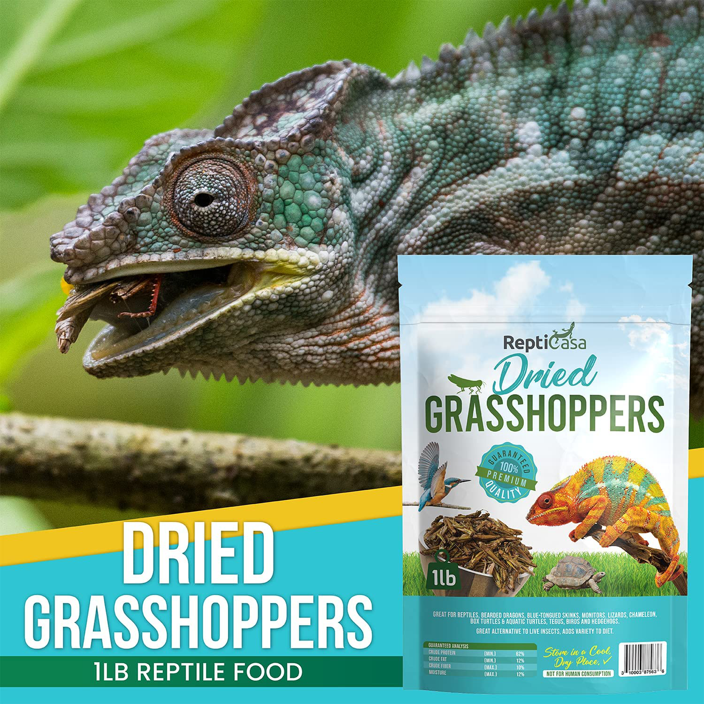 Repticasa Dried Grasshoppers Turtle Food – 1Lb Reptile Food Ideal for Bearded Dragons, Hedgehogs, Lizards, Chameleons, Birds – Rich in Protein – Natural and Healthy Treats for Exotic Pets Animals & Pet Supplies > Pet Supplies > Reptile & Amphibian Supplies > Reptile & Amphibian Food ReptiCasa   