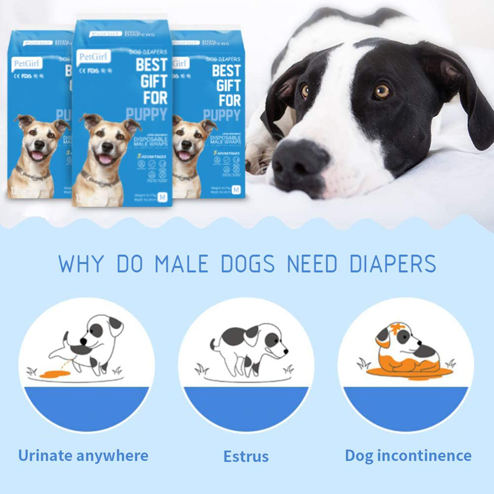 SHAREWIN Male Dog Diapers 12-288PCS Disposable Wraps&Doggie Physiological Pants Pet Diaper Paper| Excitable Urination, Incontinence, or Male Marking