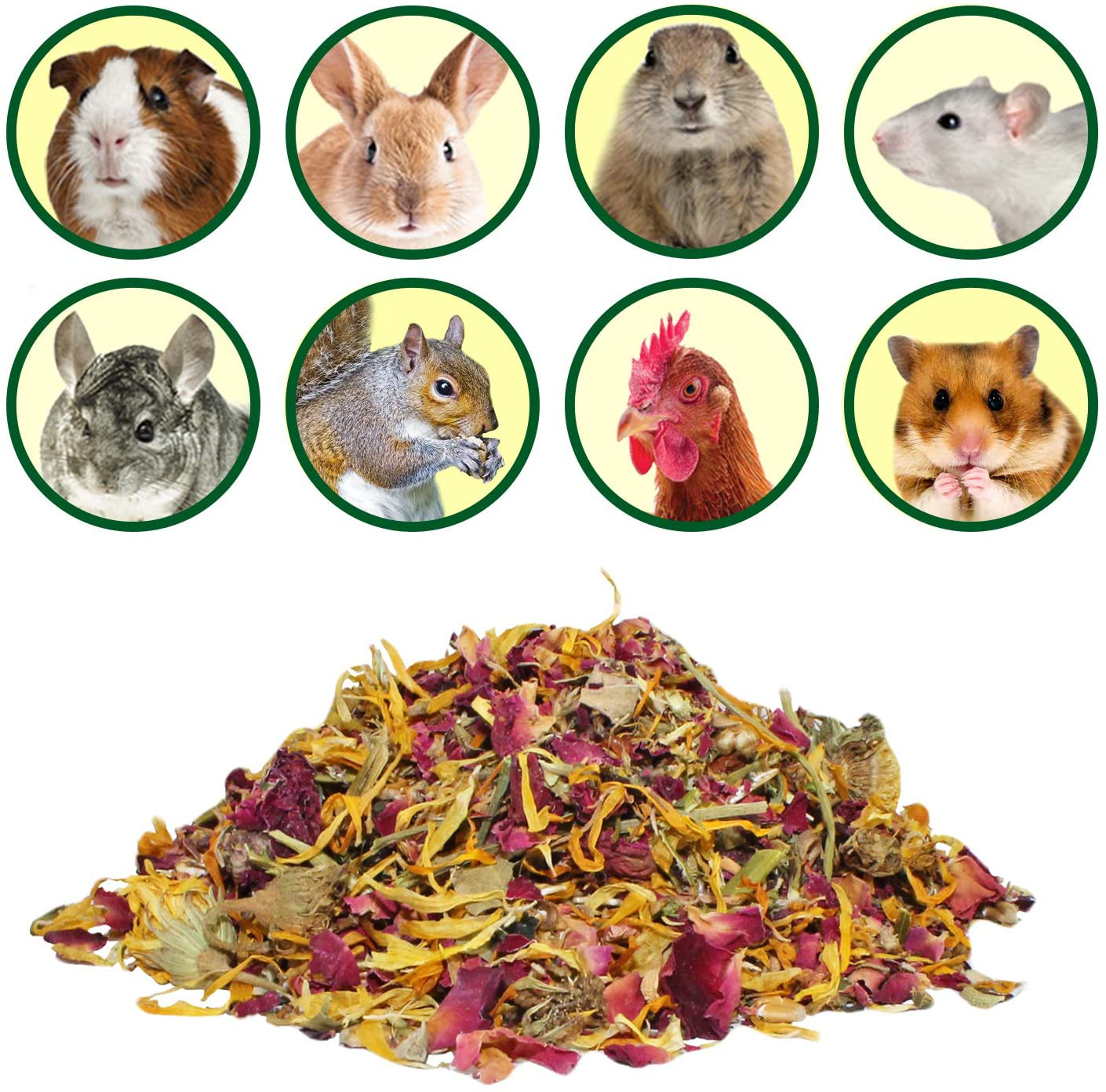 Herbivore Treats 6 Pack - Healthy Assortment Small Animal Pet Treat - Squirrels, Guinea Pigs, Rabbits, Chinchillas, Prairie Dogs, Degus, Hamsters, Gerbils, Herbivores Animals & Pet Supplies > Pet Supplies > Small Animal Supplies > Small Animal Treats Exotic Nutrition   