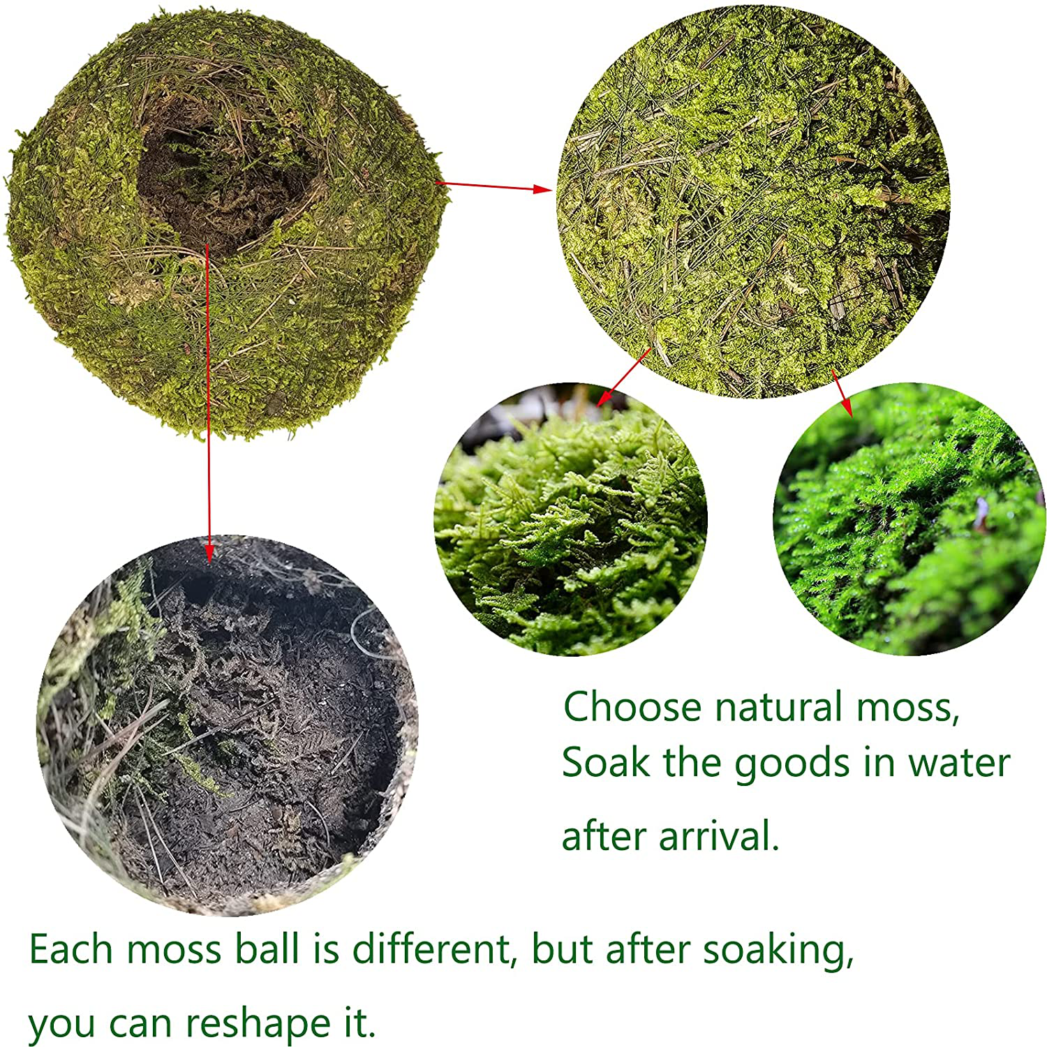 Hamiledyi Reptile Moss Cave Hide,Gecko Habitat Hammock Green Moss Accessories Plastic Terrarium Plant Vines for Small Bearded Dragon,Snakes,Chameleon Climbing Hibernation Sleeping Animals & Pet Supplies > Pet Supplies > Reptile & Amphibian Supplies > Reptile & Amphibian Habitat Accessories Hamiledyi   