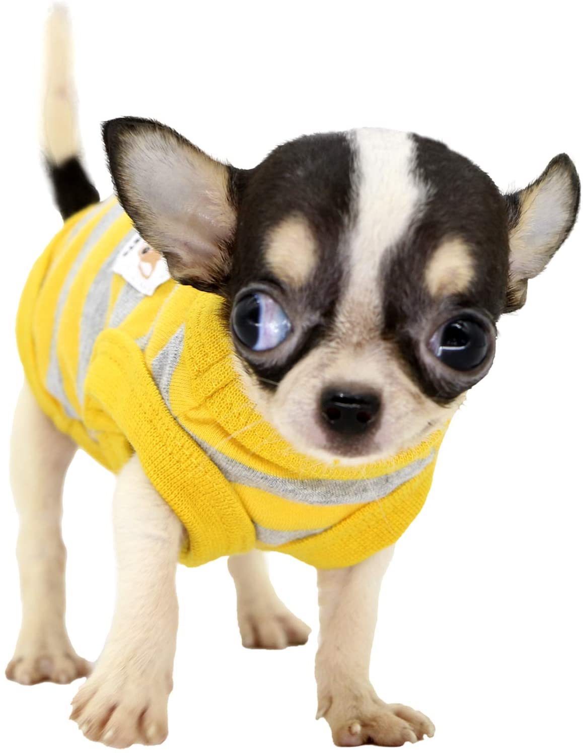 LOPHIPETS 100 Cotton Striped Dog Shirts for Puppy Small Dogs