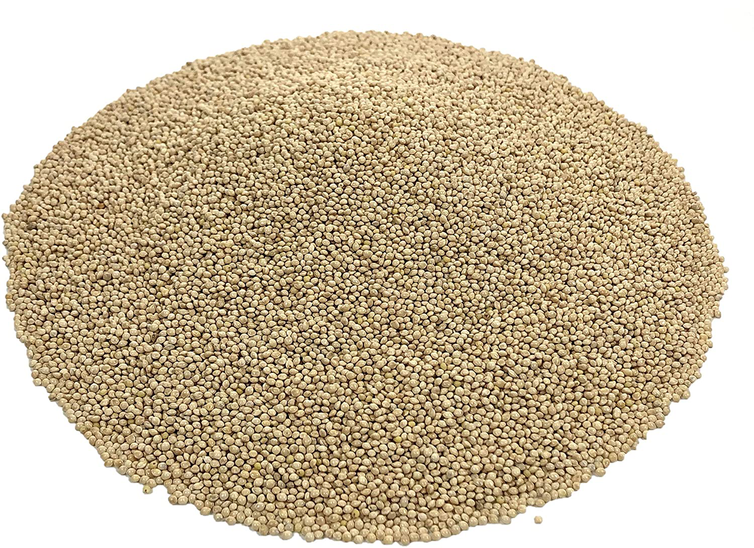 Premium White Proso Millet Bird Seed Feed,10Lbs Bulk Bag