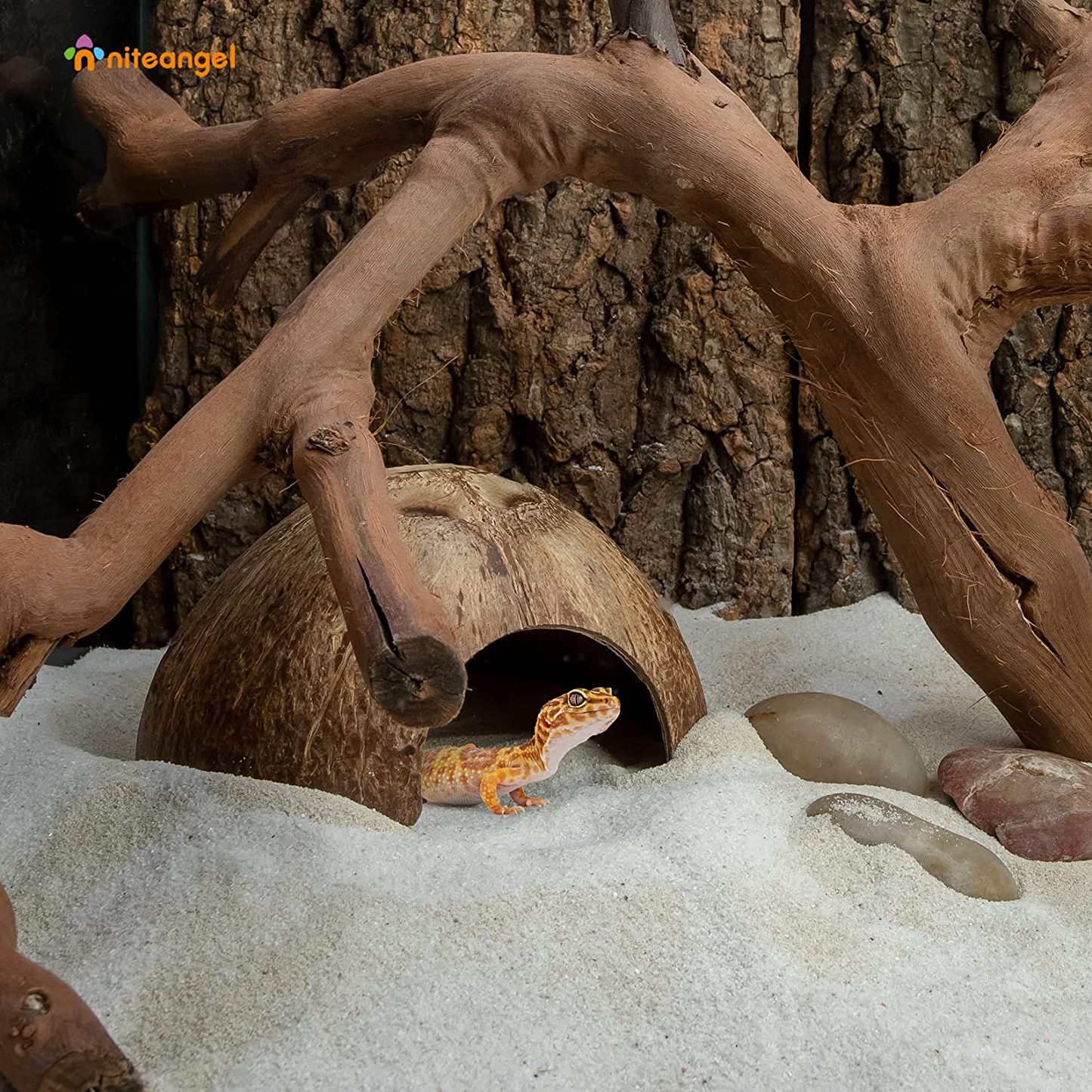 Niteangel 2 Pack Natural Coconut Reptile Hideouts, Lizard, Spider and Aquarium Fish Hide Cave Animals & Pet Supplies > Pet Supplies > Reptile & Amphibian Supplies > Reptile & Amphibian Habitat Accessories Niteangel   