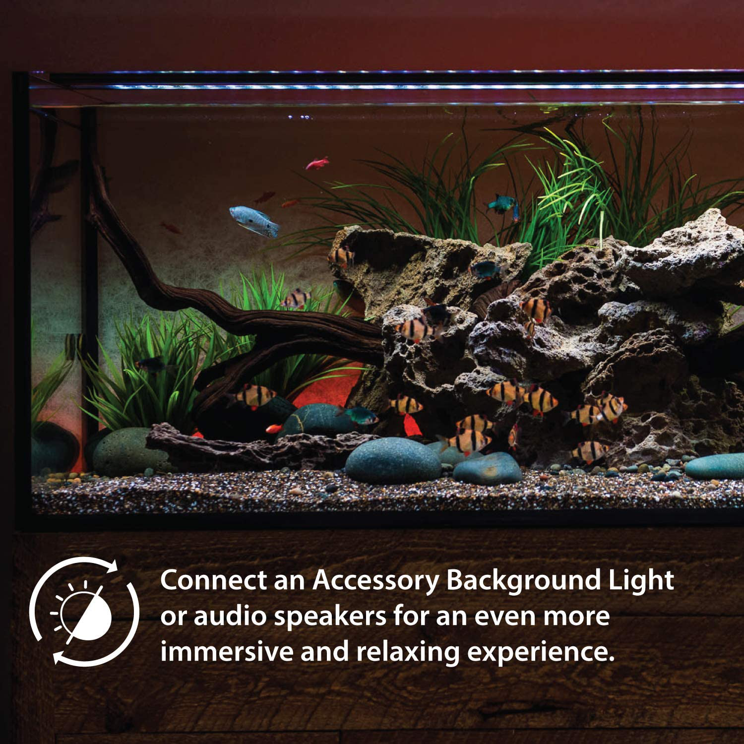 Current USA Satellite Freshwater LED plus Full Spectrum RGB+W Light for Aquariums 72'' with Wireless 24 Hour Remote Control Animals & Pet Supplies > Pet Supplies > Fish Supplies > Aquarium Lighting CURRENT   