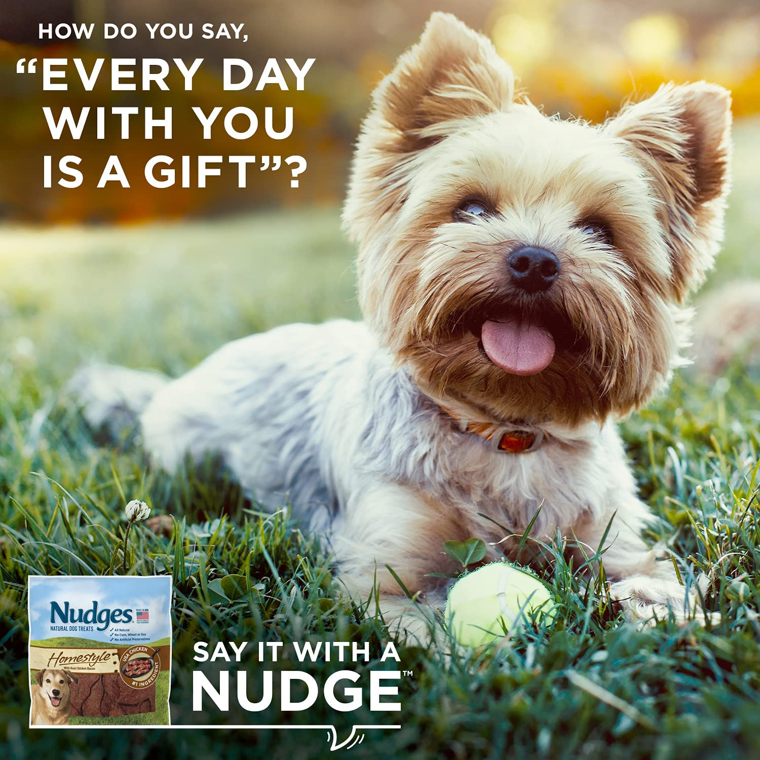 Nudges Natural Dog Treats Homestyle Made with Real Chicken Bacon Animals & Pet Supplies > Pet Supplies > Small Animal Supplies > Small Animal Treats Nudges   