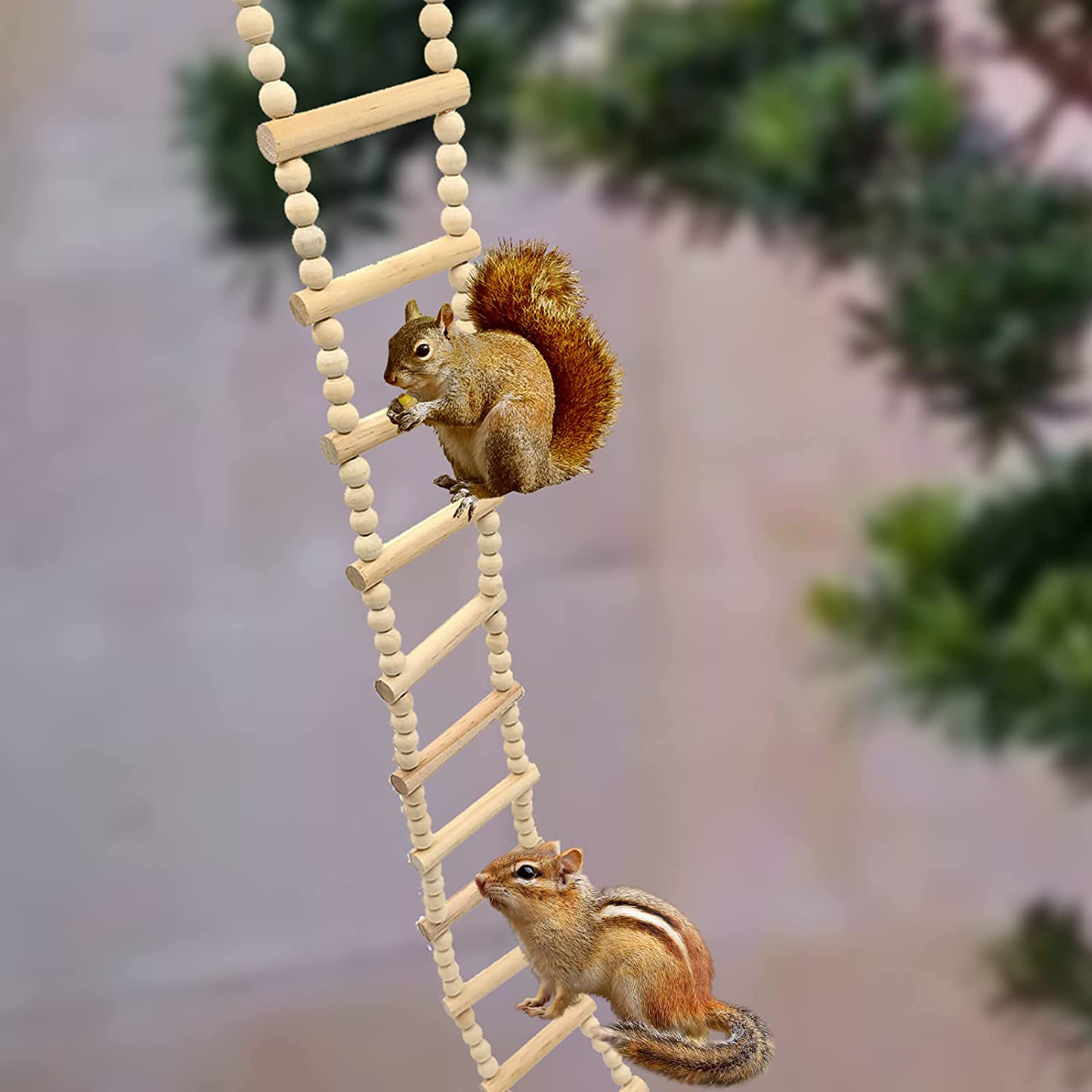 Dnoifne Bird Wooden Ladder Bridge, Ladders Swing Chewing Toys, Hanging Pet Bird Cage Accessories, Funny Perch Training Toys for Bird Parrot Macaw African Budgies Cockatiels Parakeet Hamster Squirrel Animals & Pet Supplies > Pet Supplies > Bird Supplies > Bird Ladders & Perches Dnoifne   