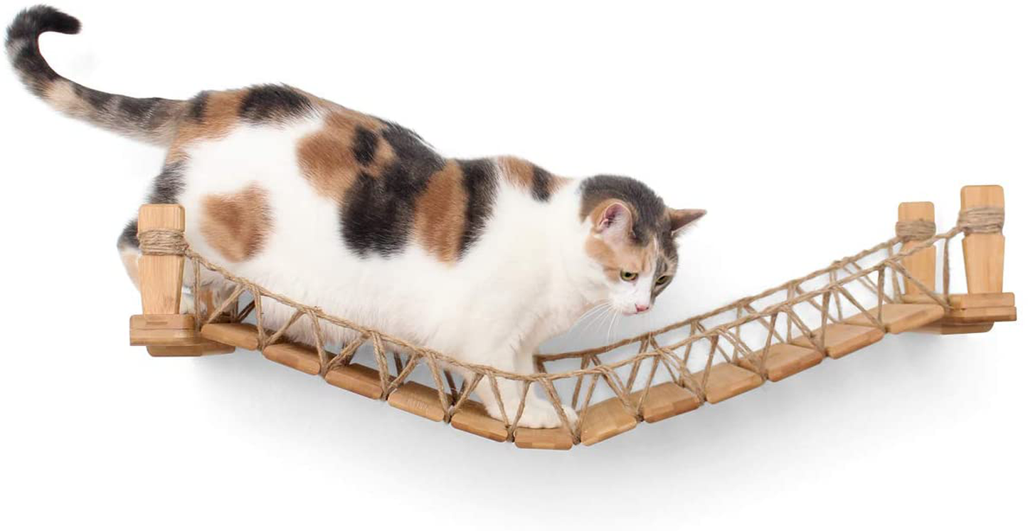 Catastrophicreations Cat Bridge Wall-Mounted Play and Lounge Toy Cat Tree Tower Alternative for Pets Animals & Pet Supplies > Pet Supplies > Cat Supplies > Cat Furniture CatastrophiCreations   