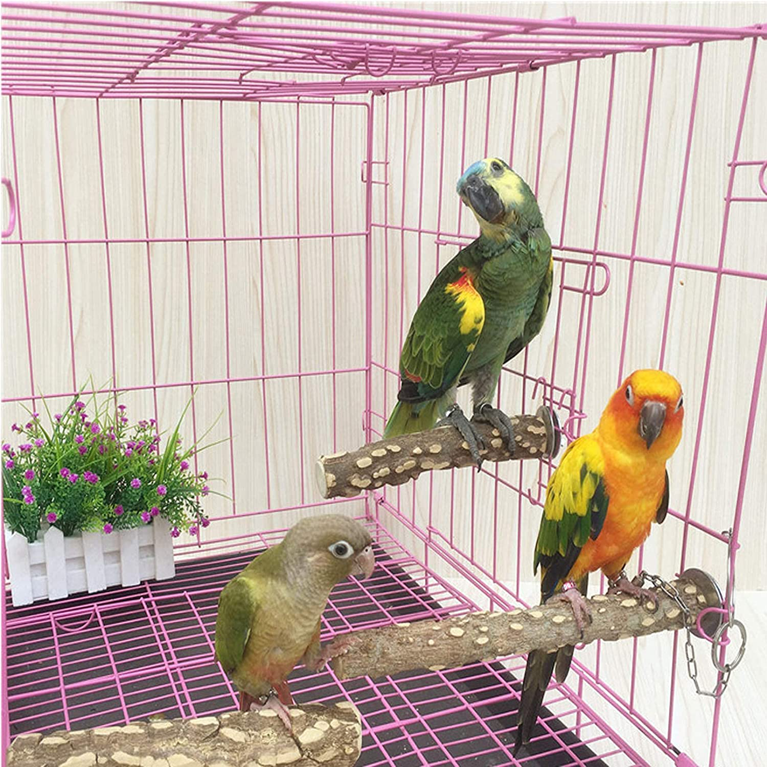 Bird Perch Stand Toy, Natural Wood Parrot Perch Bird Cage Branch Perch  Accessories for Parakeets,Parrots,Love Birds