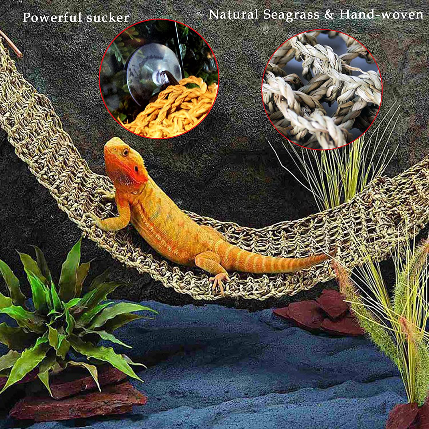 Kathson Bearded Dragon Hammock Reptile Hideout Wooden Bridge Jungle Climber Vines Flexible Reptile Leaves with Suction Cups Reptile Habitat Decor for Chameleon, Lizards, Gecko, Snakes Climbing Hiding Animals & Pet Supplies > Pet Supplies > Reptile & Amphibian Supplies > Reptile & Amphibian Habitat Accessories kathson   