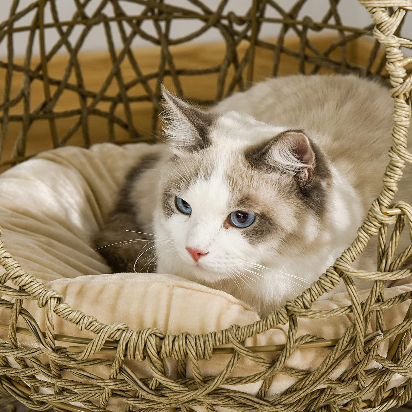 Pawhut Rattan Elevated Cat Bed Kitty Ball with Comfortable Soft Cushion, Wicker Construction and round Base, Brown Animals & Pet Supplies > Pet Supplies > Cat Supplies > Cat Furniture PawHut   