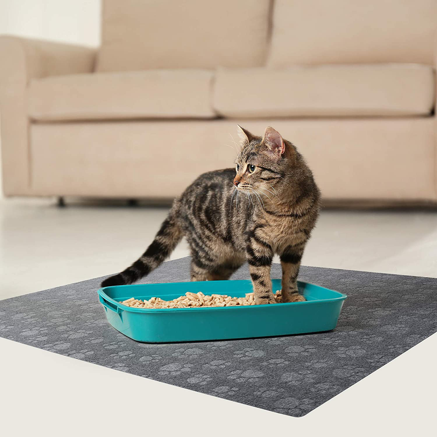 Americat Company Cat Litter Mat - Machine Washable, Waterproof & Made in USA - Traps Litter from Litter Boxes and Cats' Paws - 29 X 32 Inches Animals & Pet Supplies > Pet Supplies > Cat Supplies > Cat Litter Box Mats Americat Company   