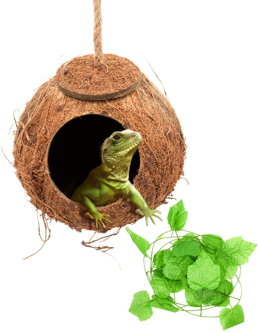 Crested Gecko Coco Hut Shell Bird House, Sturdy Hanging Home, Climbing Porch, Hiding, Sleeping&Breeding Pad, Rough Texture Encourages Foot and Beak Exercise, Suitable for Reptiles, Amphibians Animals & Pet Supplies > Pet Supplies > Reptile & Amphibian Supplies > Reptile & Amphibian Habitat Accessories suruikei 1-Hole  