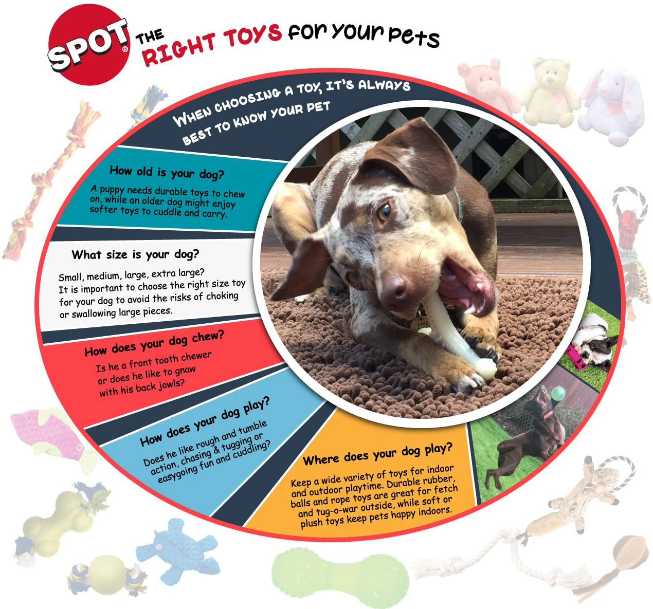 SPOT Ethical Pet Interactive Seek-A-Treat Shuffle Bone Toy Puzzle That Will Improve Your Dog'S IQ, Specially Designed for Training Treats Animals & Pet Supplies > Pet Supplies > Dog Supplies > Dog Toys Ethical Pet Products (Spot)   