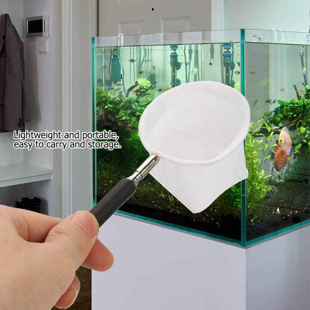 Wedai Flexible Retractable Aquarium Supplies Catch Net Cleaning Tool Stainless Steel Fish Tank Cleaning Gadgets Fishnet Fish Tank Accessory(Square) Animals & Pet Supplies > Pet Supplies > Fish Supplies > Aquarium Fish Nets WeDai   