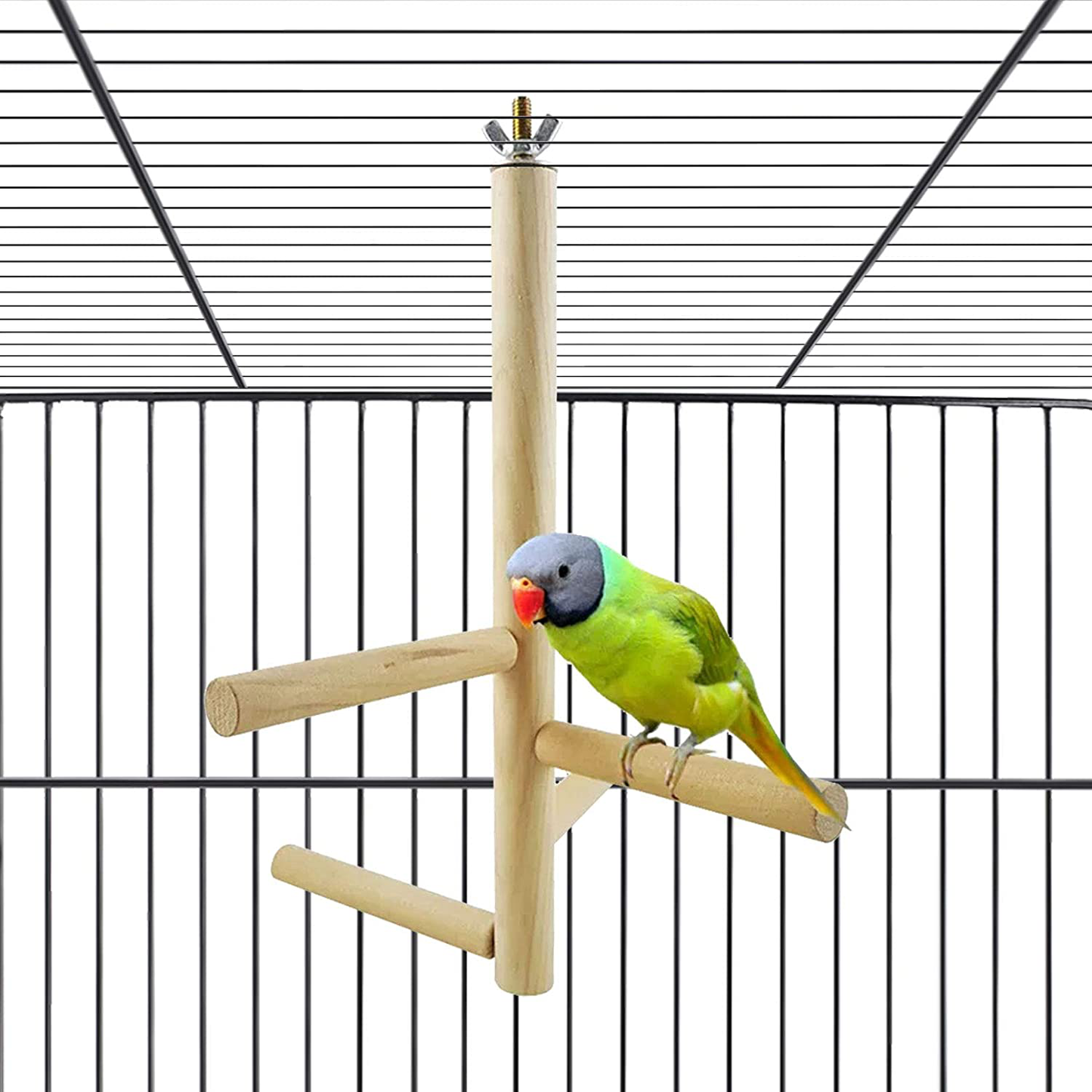 Hamiledyi Parakeet Perch,Bird Natural Wood Stand,Parrot Cage Top Wooden Branches for Standing,Toys for Small Medium Parrots Conure Budgie Lovebirds Animals & Pet Supplies > Pet Supplies > Bird Supplies > Bird Cage Accessories Hamiledyi   