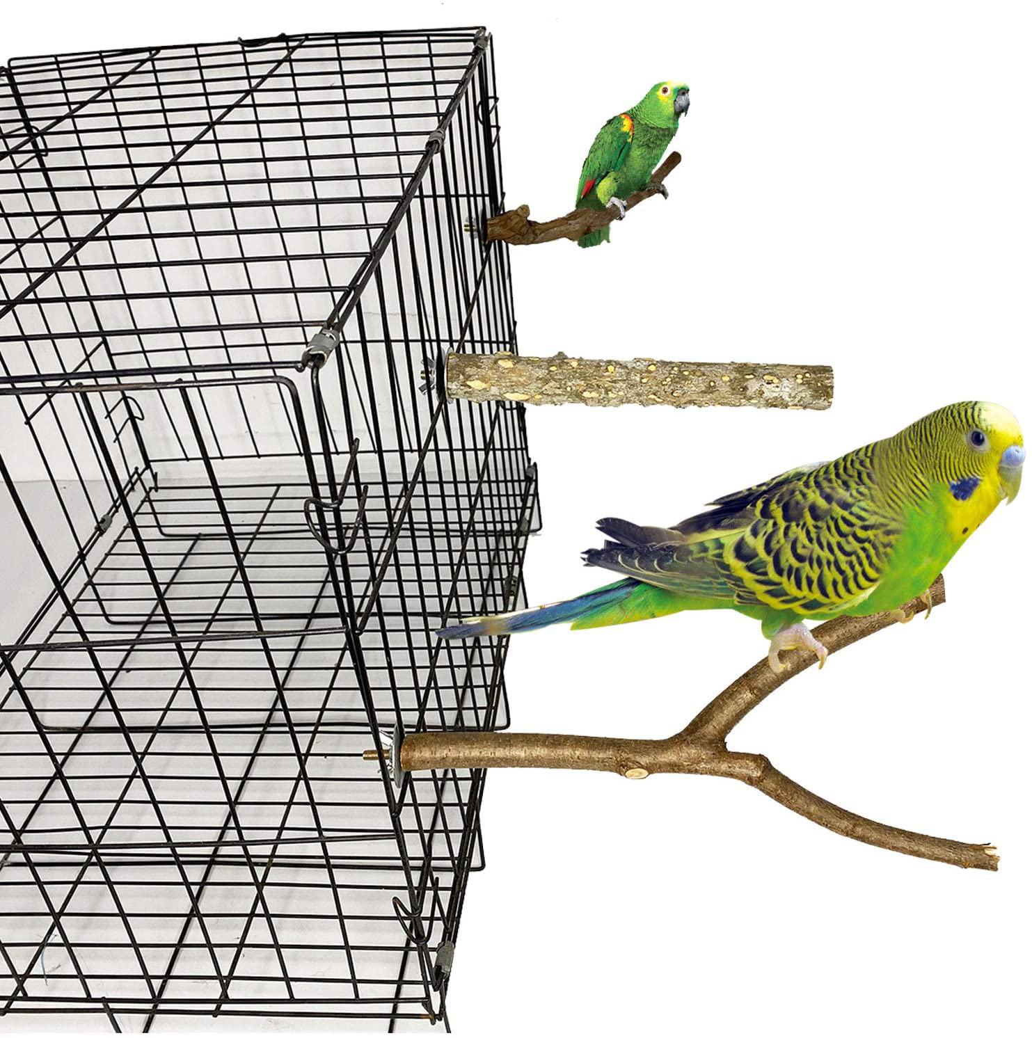 Kathson Natural Wood Bird Perch Parakeet Stand Platform Parrot Paw Gri –  KOL PET