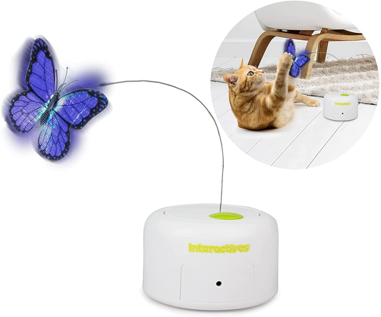 ALL for PAWS Flutter Bug Cat Wand Toy Interactive Cat Toy Cat Fun Playing Toys Kitten Toys (With Shiny Butter-Fly) Animals & Pet Supplies > Pet Supplies > Cat Supplies > Cat Toys ALL FOR PAWS Motion Activated Butter-fly  