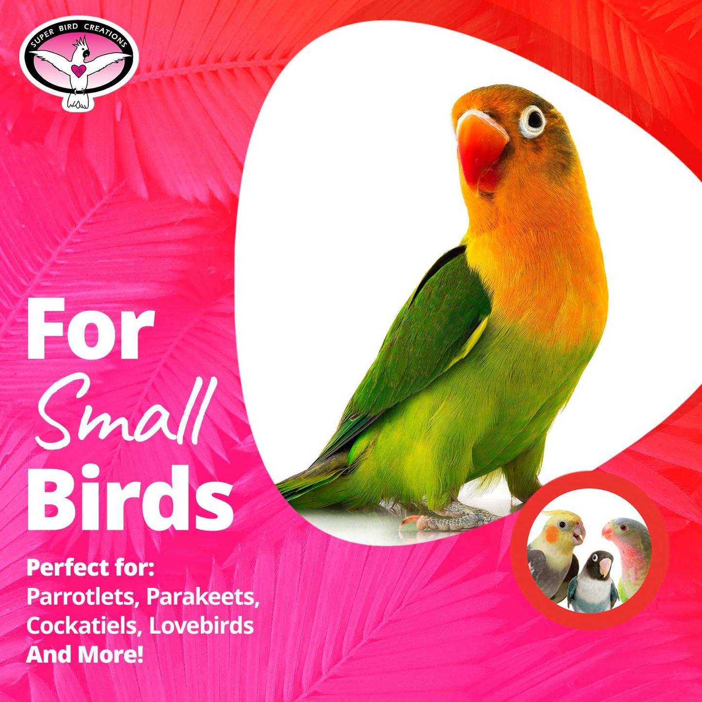 Super Bird Creations SB541 Crinkle Crinkle Little Star,Varies Animals & Pet Supplies > Pet Supplies > Bird Supplies > Bird Cage Accessories Super Bird Creations   