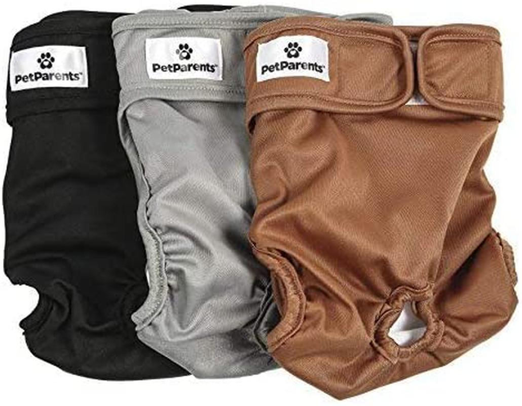 Pet Parents Washable Dog Diapers (3Pack) of Durable Doggie Diapers, Premium Male & Female Dog Diapers Animals & Pet Supplies > Pet Supplies > Dog Supplies > Dog Diaper Pads & Liners Pet Parents Natural Medium 
