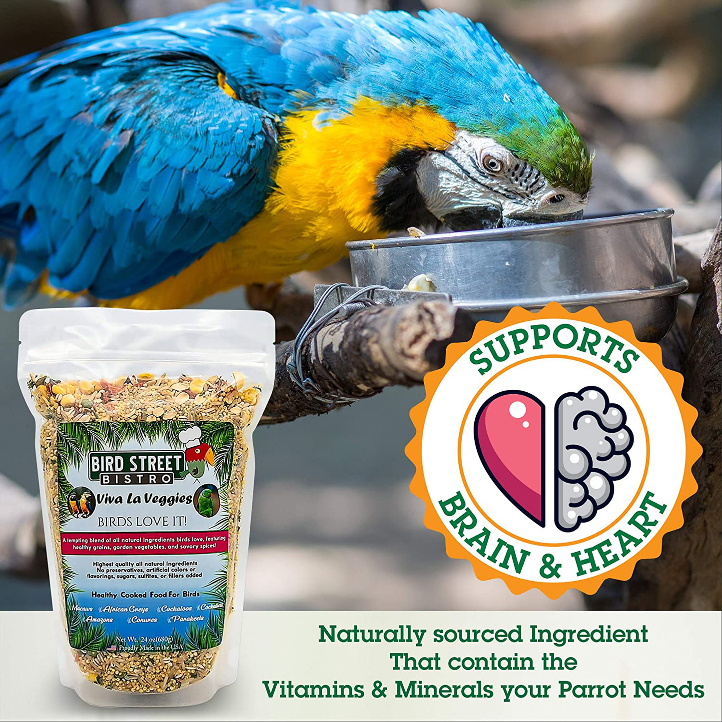 Bird Street Bistro Parrot Food Sample Pack Cooks in as Little as 3 to 15 Min | All Natural & Organic Grains and Legumes, Healthy Fruits, Vegetables, and Spices - No Fillers or Additives Animals & Pet Supplies > Pet Supplies > Bird Supplies > Bird Food Bird Street Bistro   