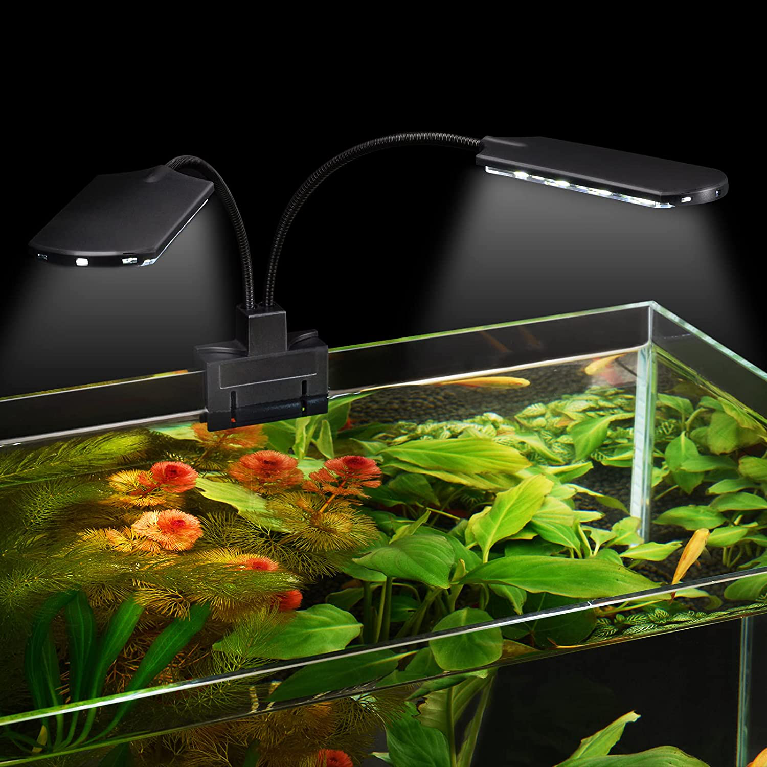 WEAVERBIRD Double Head Aquarium Fish Tank Light 15W 32 LED Aquarium Planted Clip Lamp 1600LM White LED Lighting for 8-15 Inch Fish Tank Animals & Pet Supplies > Pet Supplies > Fish Supplies > Aquarium Lighting WEAVERBIRD   