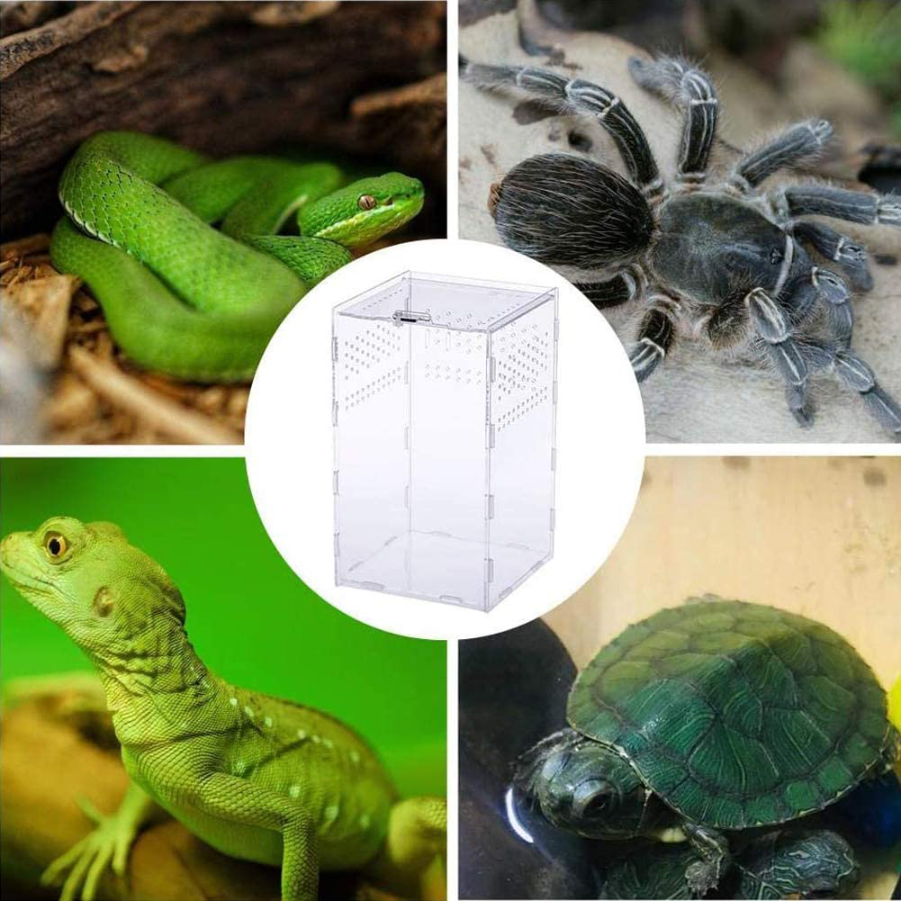 LEEWENYAN Reptile Habitat-Insect Feeding Box for Reptiles and Amphibians, 12X12X20Cm Acrylic Reptile Transparent Breeding Case