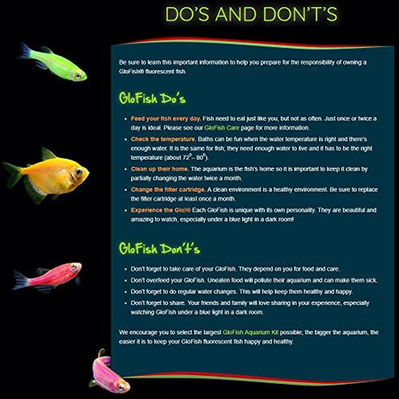 Glofish Aquarium Gravel, Fluorescent Colors, Complements Glofish Tanks, 5-Pound Bag Animals & Pet Supplies > Pet Supplies > Fish Supplies > Aquarium Decor GloFish   