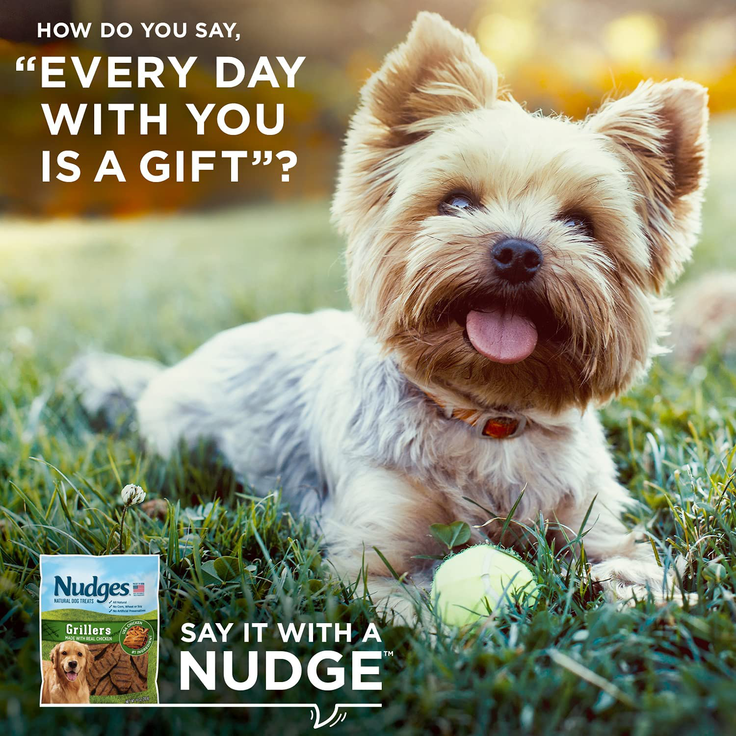 Nudges Chicken Grillers Dog Treats Animals & Pet Supplies > Pet Supplies > Small Animal Supplies > Small Animal Treats Nudges   