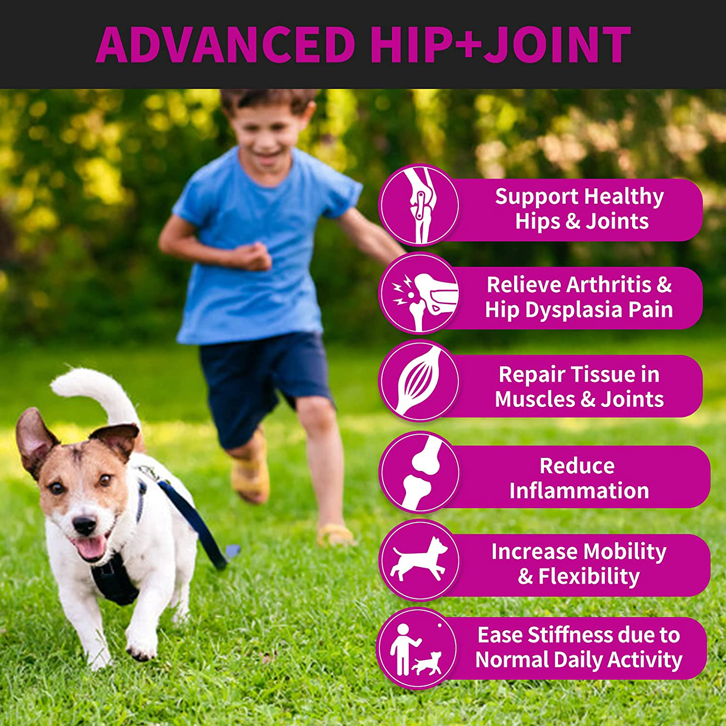 Hip and Joint Supplement for Dogs - 120 Soft Chews with HEMP Oil & HEMP Powder, Glucosamine, Chondroitin, MSM, Turmeric, Premium Dog Glucosamine for Pet Mobility Support and Inflammation Relief Animals & Pet Supplies > Pet Supplies > Small Animal Supplies > Small Animal Treats Leckerli Vet   