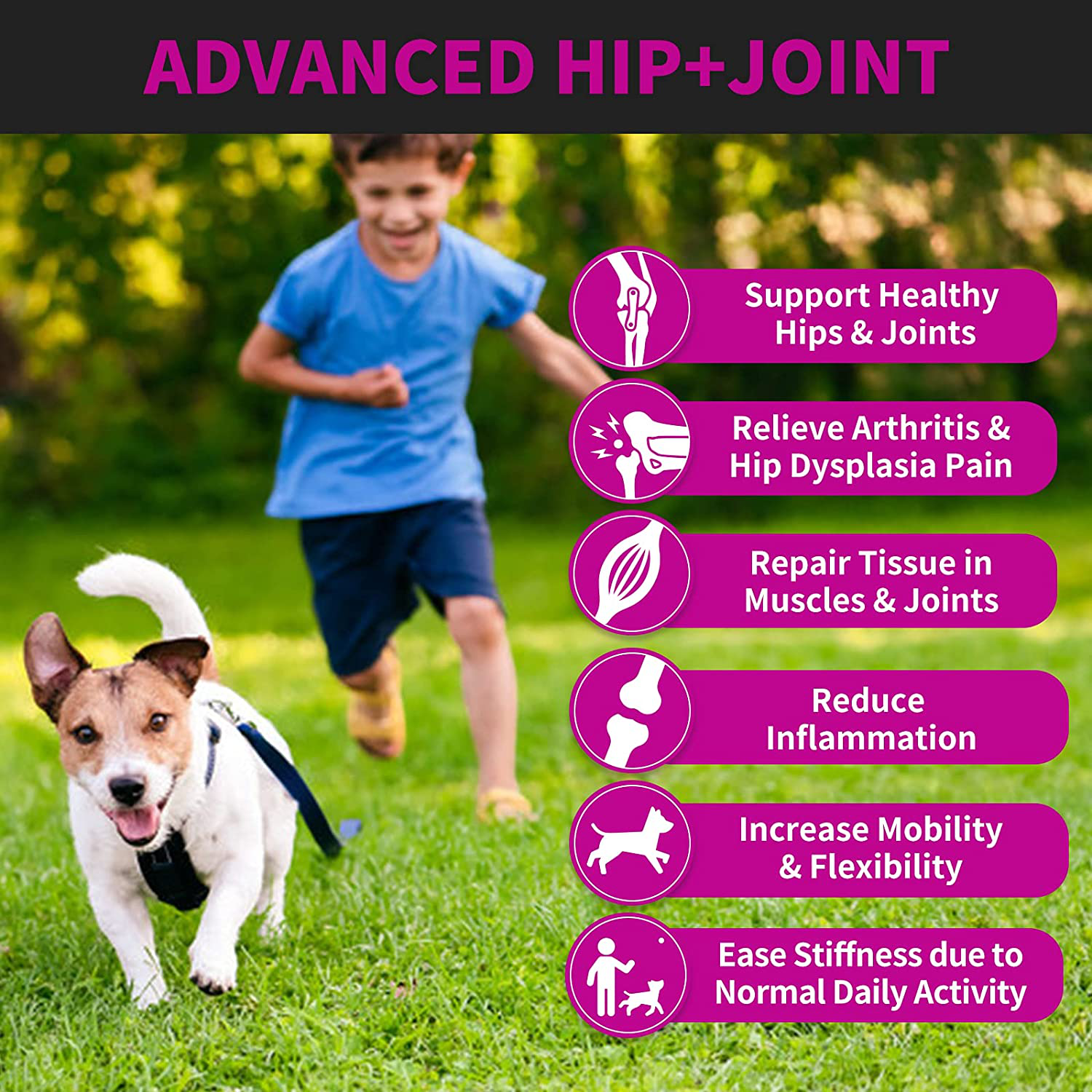 Hip and Joint Supplement for Dogs - 120 Soft Chews with HEMP Oil & HEMP Powder, Glucosamine, Chondroitin, MSM, Turmeric, Premium Dog Glucosamine for Pet Mobility Support and Inflammation Relief Animals & Pet Supplies > Pet Supplies > Small Animal Supplies > Small Animal Treats Leckerli Vet   