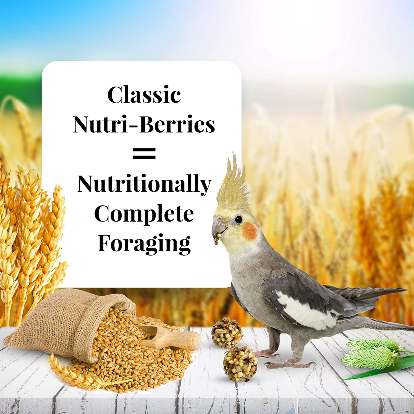 Lafeber Classic Nutri-Berries Pet Bird Food, Made with Non-Gmo and Human-Grade Ingredients, for Cockatiels, 4 Lb Animals & Pet Supplies > Pet Supplies > Bird Supplies > Bird Treats LAFEBER'S   