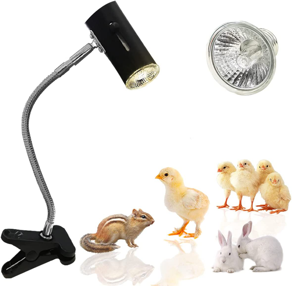 Gabraden Reptile Pet Coop Heater 50W Safer than Brooder Lamps Used for Rabbits, Chickens, Hamsters and Other Small Animals (Black) Animals & Pet Supplies > Pet Supplies > Reptile & Amphibian Supplies > Reptile & Amphibian Habitat Heating & Lighting GABraden   