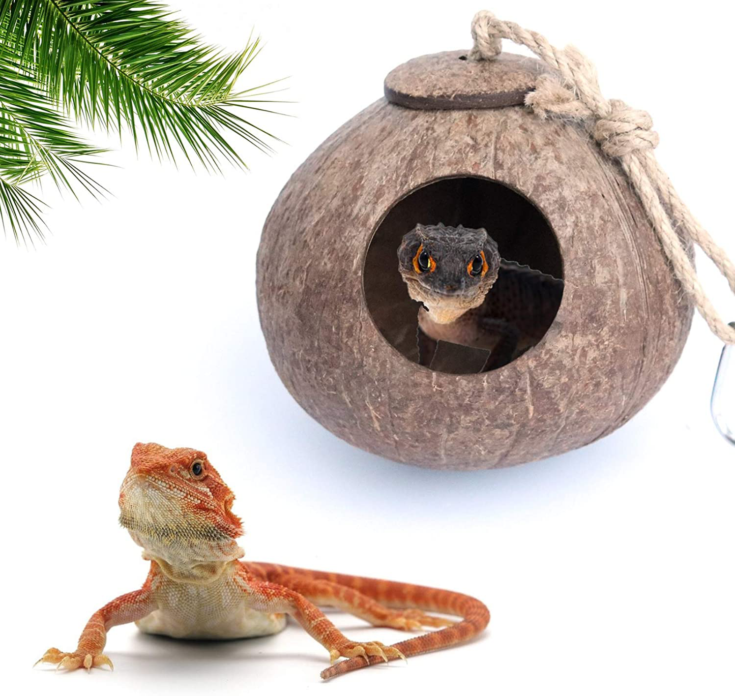 Gecko Coconut Husk Hut, Bird Hut Nesting House Hideouts Hanging Home, Treat & Food Dispenser, Durable Cave Habitat with Hanging Loop for Crested Gecko, Reptiles, Amphibians and Small Animals Animals & Pet Supplies > Pet Supplies > Small Animal Supplies > Small Animal Habitat Accessories Besimple   