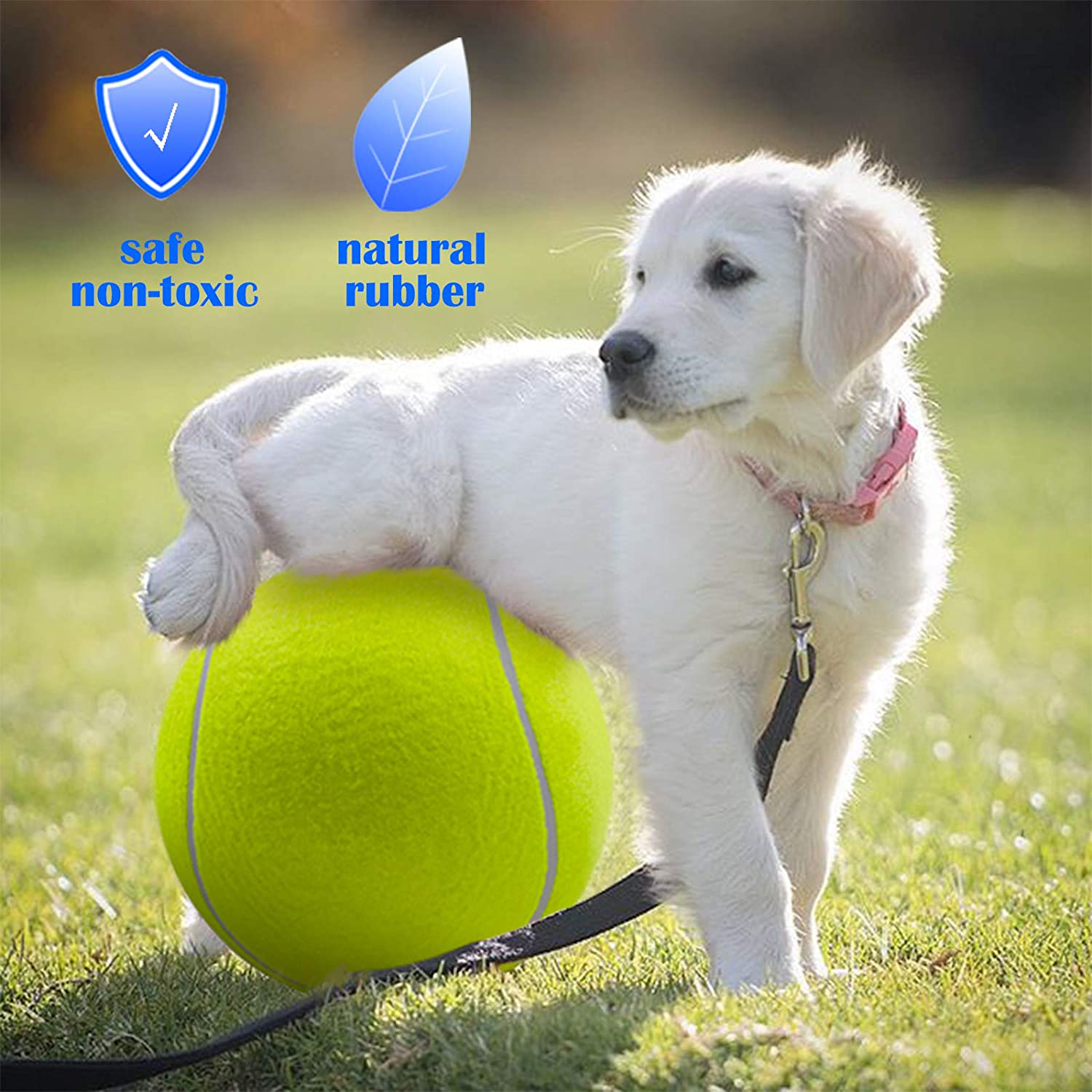 Banfeng Giant 9.5" Dog Tennis Ball Large Pet Toys Funny Outdoor Sports Dog Ball Gift with Inflating Needles Animals & Pet Supplies > Pet Supplies > Dog Supplies > Dog Toys Banfeng   