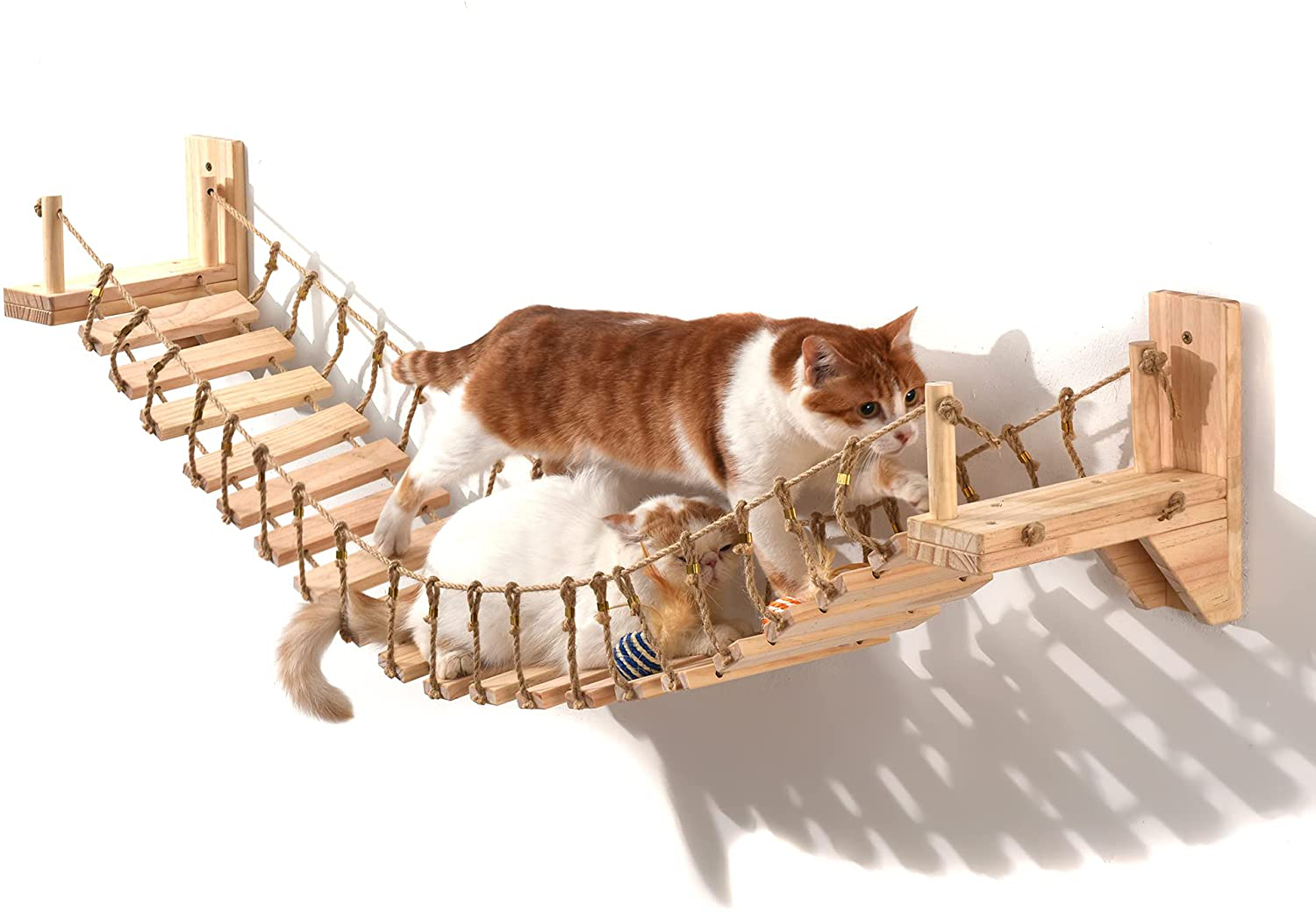 Cat Wall Shelves Cat Bridge with 2 Fixed Brackets & Cat Toys, Wood Cat Beds & Furniture Cat Perch Floating Hammock Cat Cloud Shelf Board Cat Condo Tree Cat Climber Animals & Pet Supplies > Pet Supplies > Cat Supplies > Cat Furniture CTH   