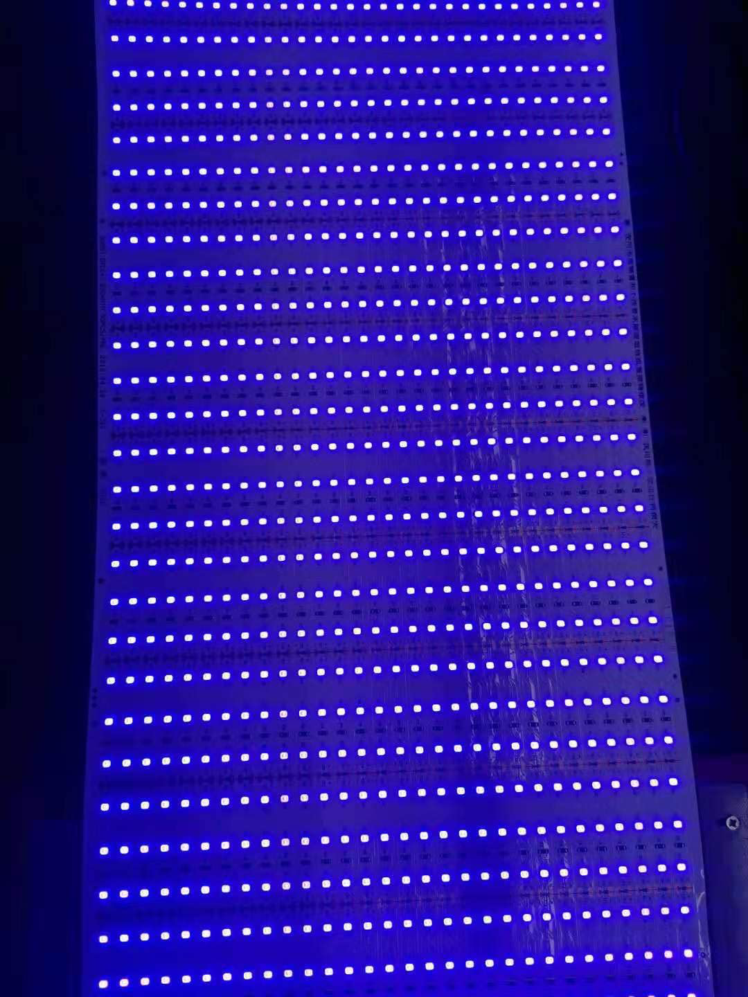 DIY LED U-Home 5M Cyan Led Strip Lights Blue-Purple Color 440Nm Wave Length Lighting Diys for Yacht Houseboat Decoration Light Aquarium Reef Aquarium Growing Light (Blue-Purple 440Nm)
