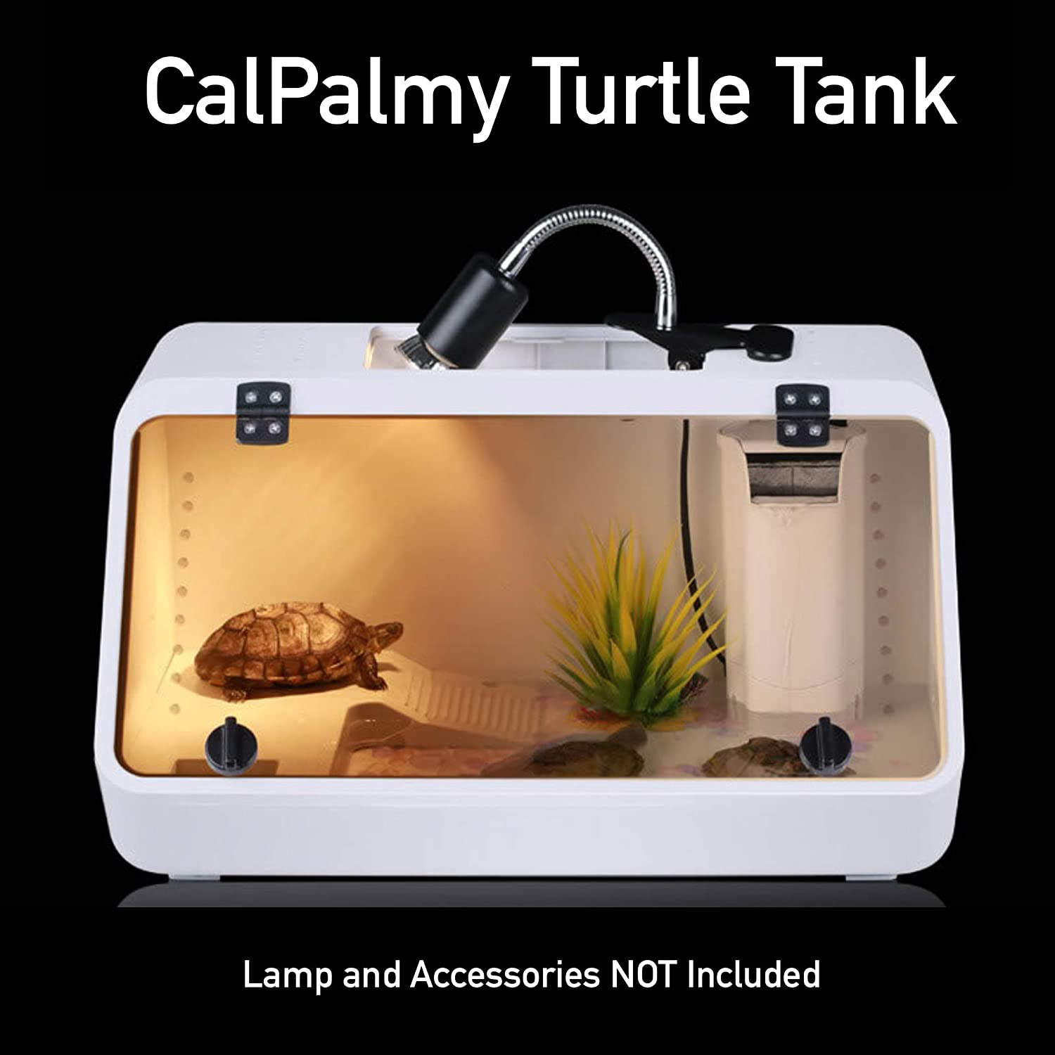 Large Reptile Tank – an Aquarium with a See-Through, Easy Access Front Panel Door | Habitat for Small Reptiles like Young Bearded Dragons, Lizards, Small Snakes and More |19''X10''X10'' with Food Tray Animals & Pet Supplies > Pet Supplies > Reptile & Amphibian Supplies > Reptile & Amphibian Habitat Accessories CALPALMY   