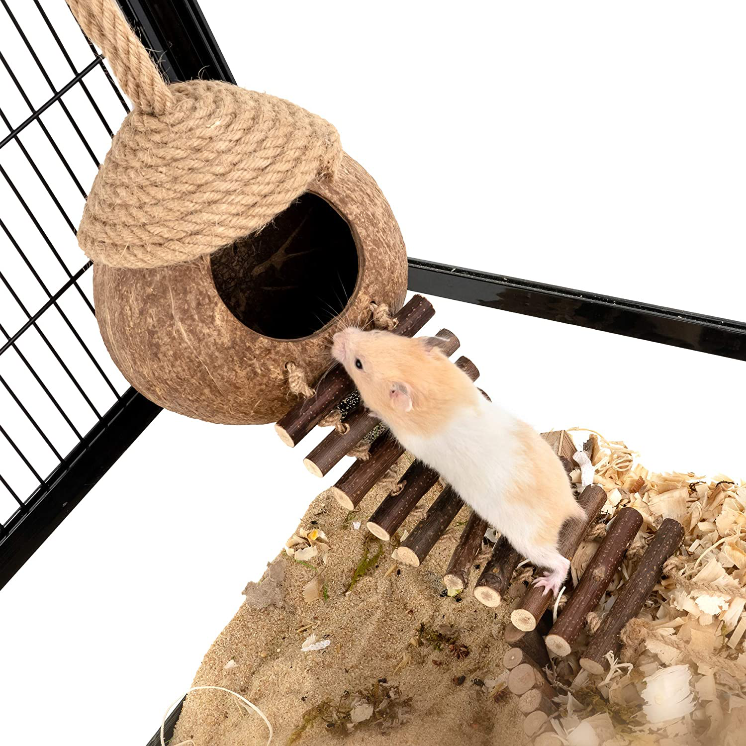 Andwe Coconut Bird Nest Hut with Ladder for Parrots Parakeet Conures Cockatiel - Small Animals House Pet Cage Habitats Decor Animals & Pet Supplies > Pet Supplies > Small Animal Supplies > Small Animal Habitats & Cages andwe   