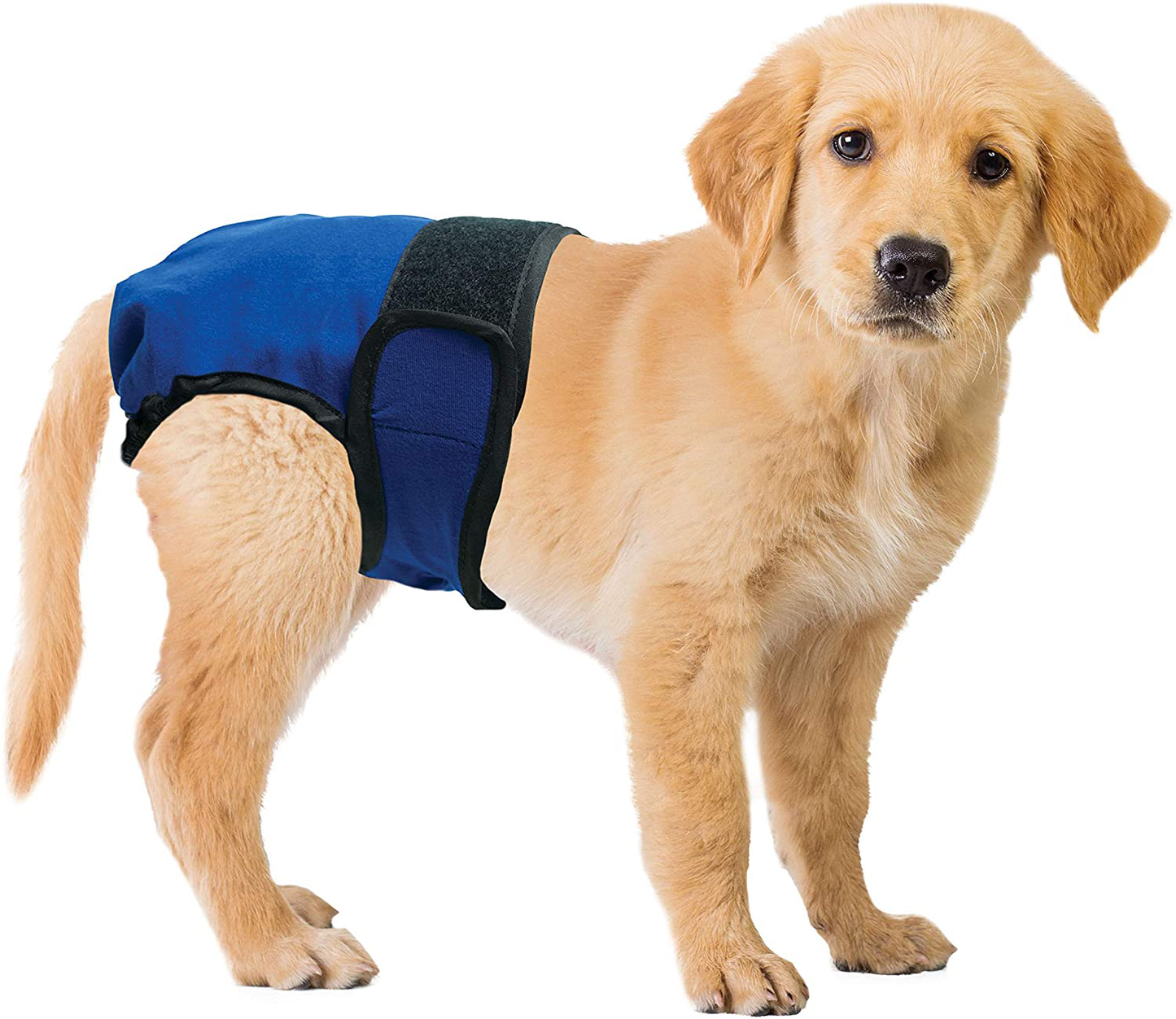 Four Paws Wee-Wee Washable Dog Diaper Garment